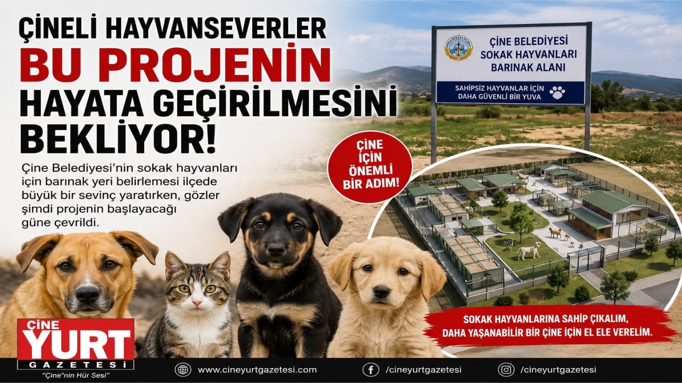 Çineli Hayvanseverler Bu Projenin Hayata Geçirilmesini Bekliyor!