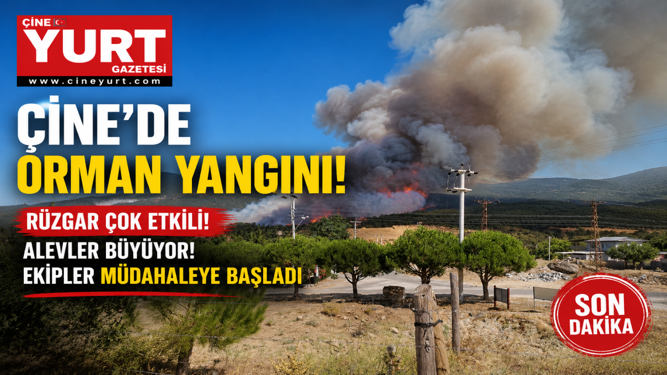 ÇİNE MADRAN DAĞINDA BÜYÜK YANGIN BAŞLADI
