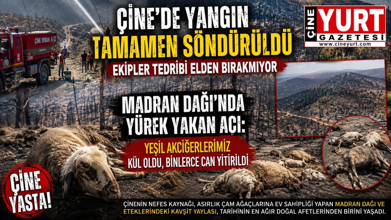 MADRAN DAĞI’NDA YÜREK YAKAN ACI: YEŞİL AKCİĞERLERİMİZ KÜL OLDU, BİNLERCE CAN YİTİRİLDİ