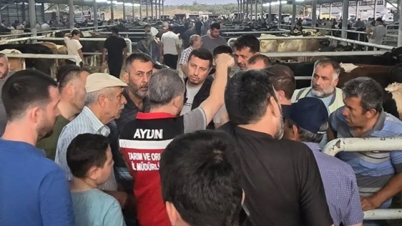 Aydın’da Hayvan Pazarlarına Sıkı Denetim: Küpesiz Hayvana Geçit Yok!
