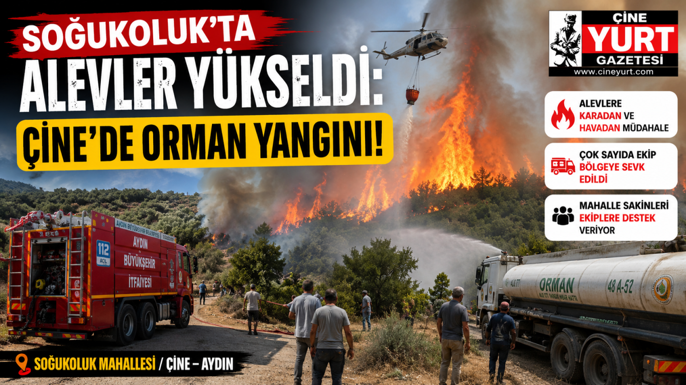 SOĞUKOLUK’TA ALEVLER YÜKSELDİ: ÇİNE’DE ORMAN YANGINI!