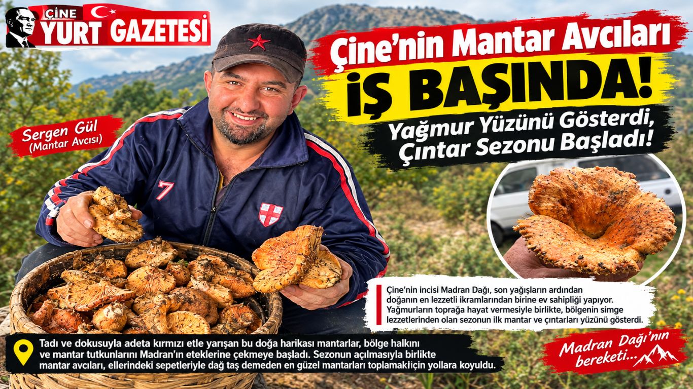 Çine’nin Mantar Avcıları İş Başında Yağmur Yüzünü Gösterdi, Çıntar Sezonu Başladı!