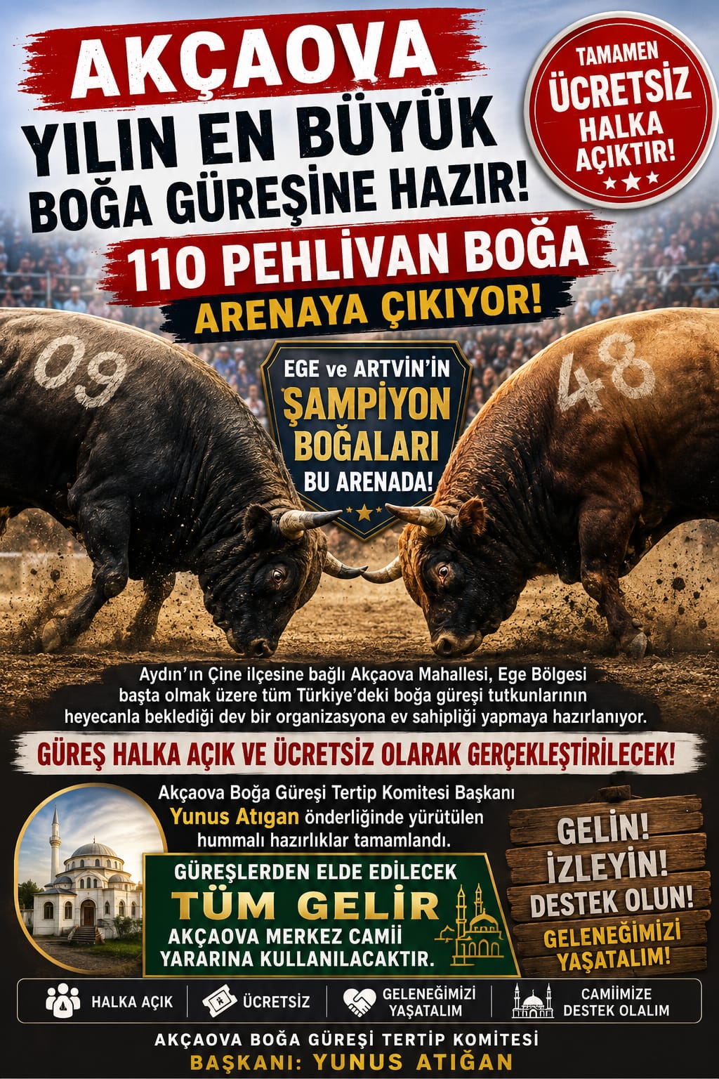 ana reklam
